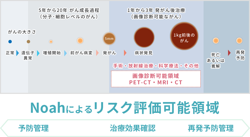 がんリスク評価